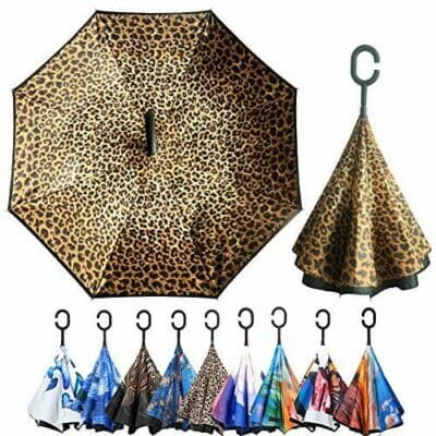 Cheeta and other Inverted Umbrellas