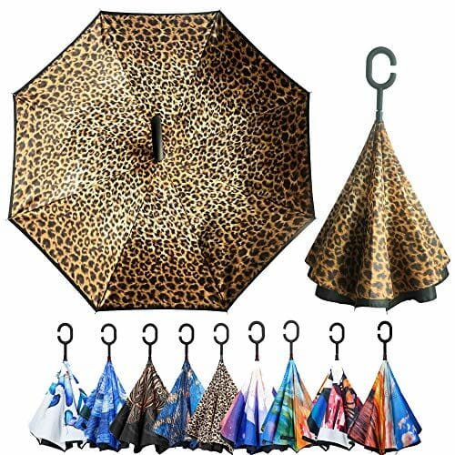 Cheeta and other Inverted Umbrellas
