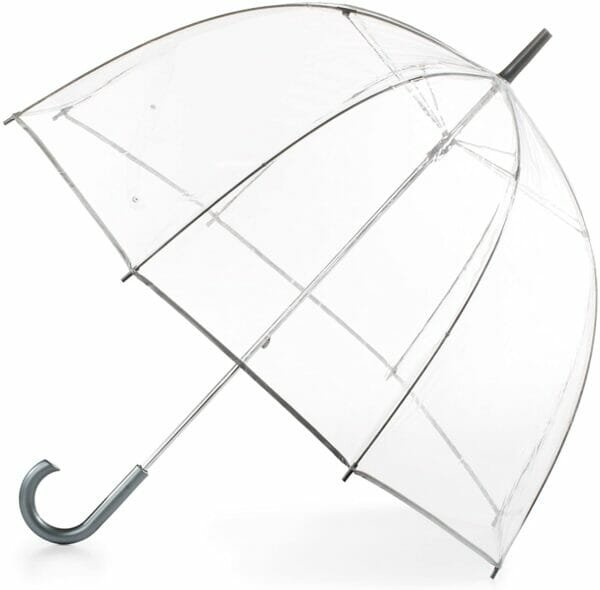 Transparent birdcage umbrella with silver handle