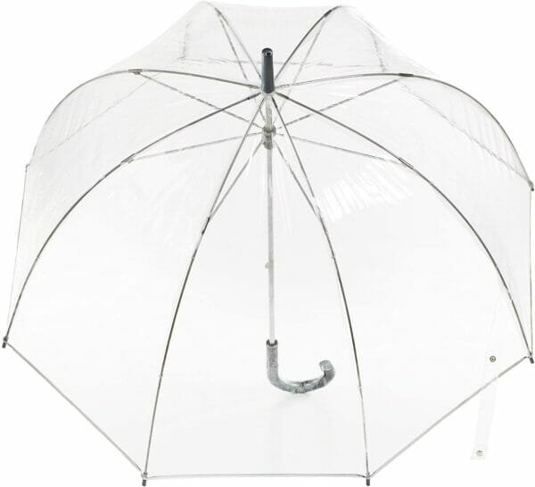 Transparent birdcage umbrella on the floor