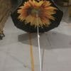 a close up of an umbrella