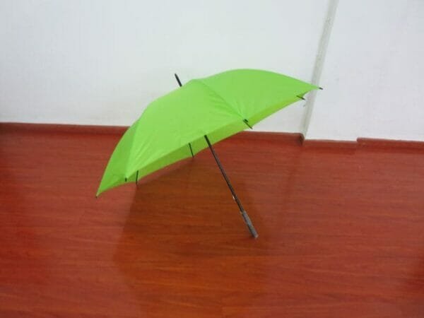 a green umbrella