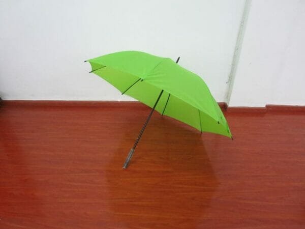 a green umbrella