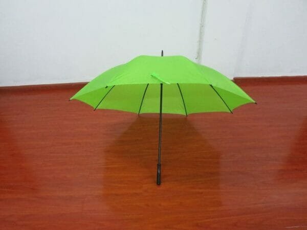 a green umbrella