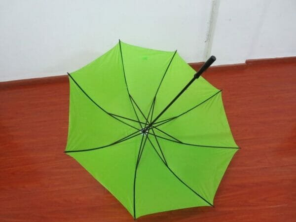 a green umbrella