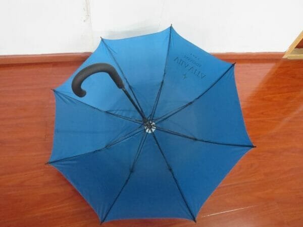 a blue umbrella in the rain