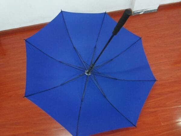 a blue umbrella