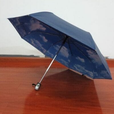 a blue umbrella