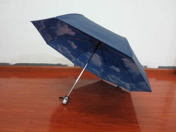 a blue umbrella