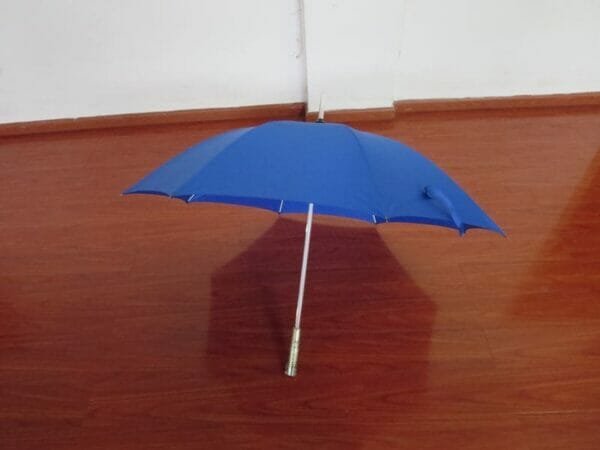 a blue umbrella