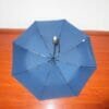 a blue umbrella