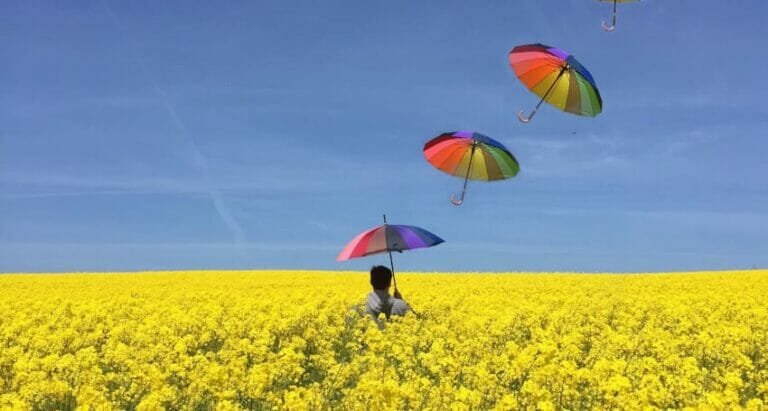 Cheap Umbrellas in Bulk