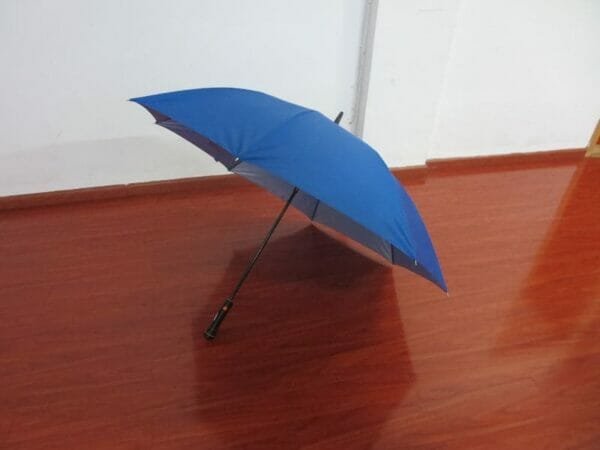 a blue umbrella