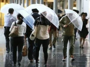 Benefits of a Transparent Umbrella