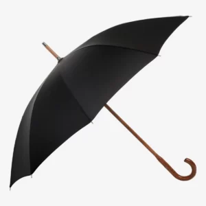 modern day umbrella