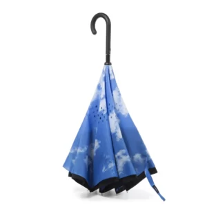 Reverse Umbrella
