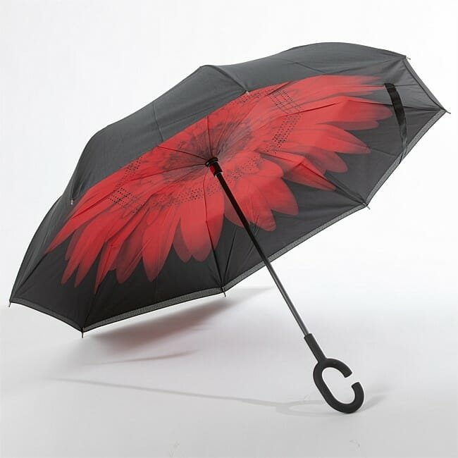 inverted umbrella